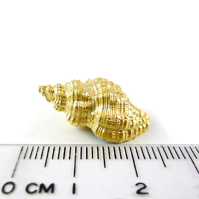 銅鍍霧金色海螺-25mm