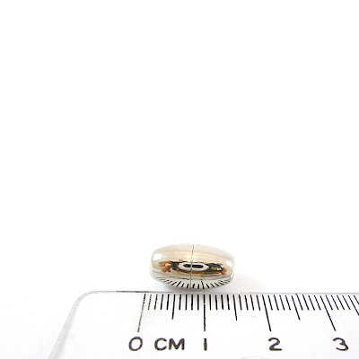 不銹鋼橢圓形磁鐵扣