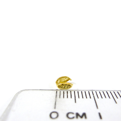 金色ㄇ字形夾頭