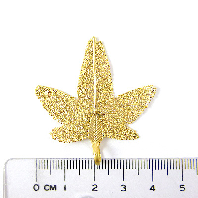 霧金單孔楓葉葉脈