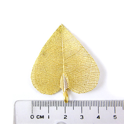 霧金單孔心形葉脈