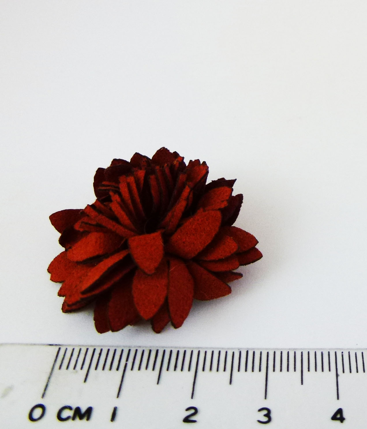 菊花-紅色