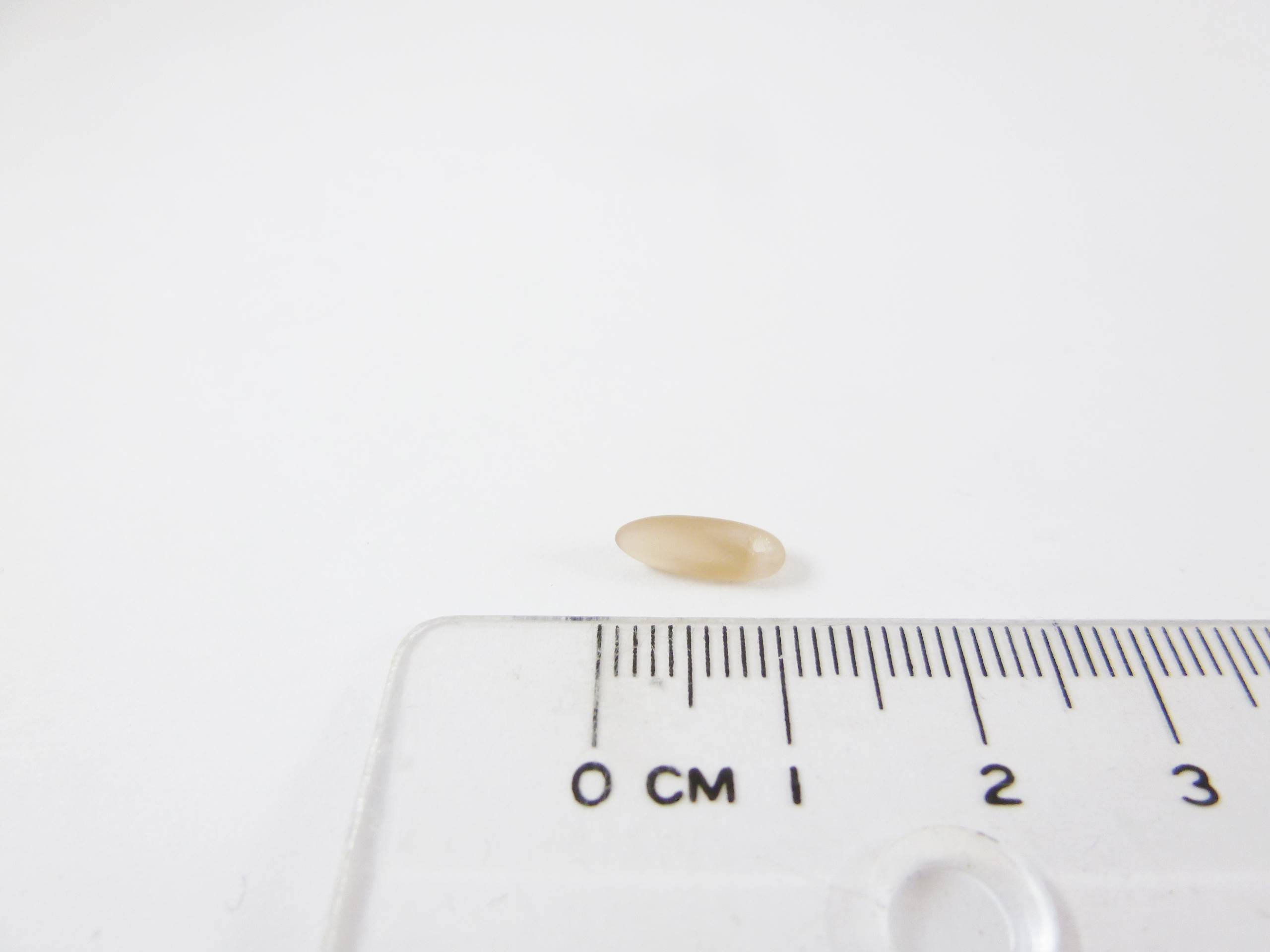 劍形-磨砂咖啡-10x4mm